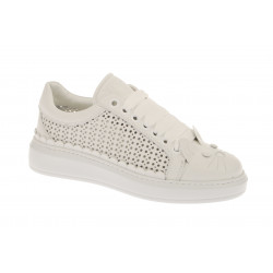 SNEAKERS GATTO TRAFORATA