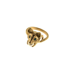 ANELLO TOPO